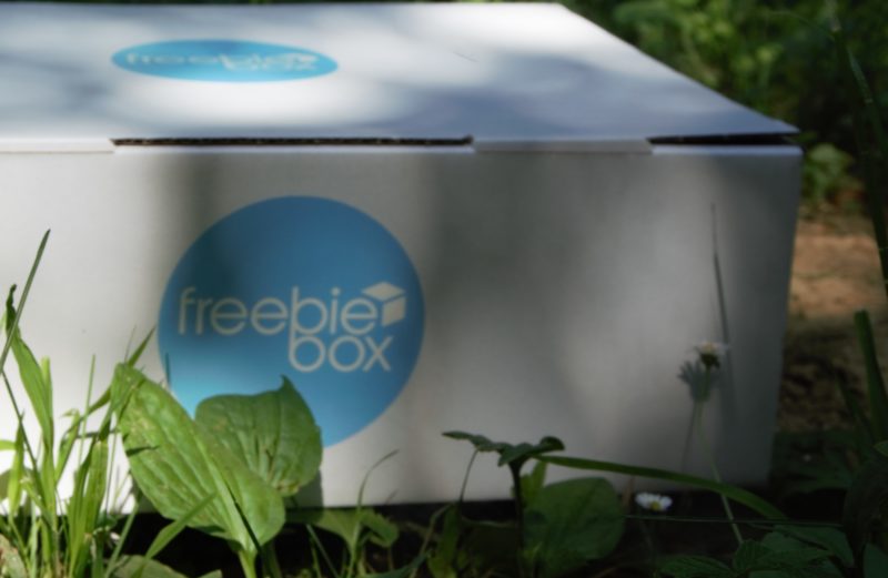 Freebiebox goes Green – helft uns einen Baum zu pflanzen!